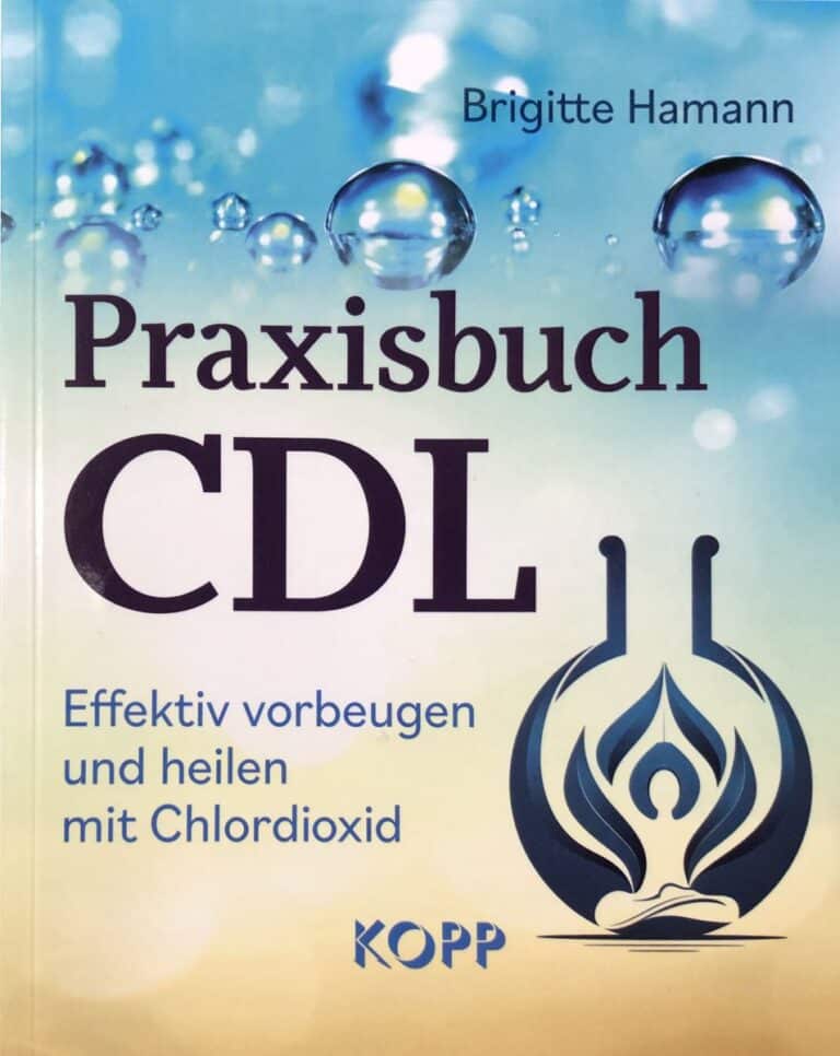 Praxisbuch CDL von Brigitte Hamann